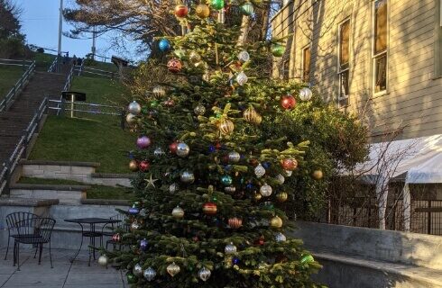 A decorated Christmas tree outside in front of a house.