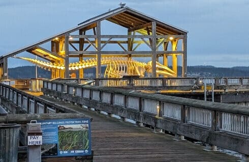 A dinosaur skeleton under an open building at the end of a bridge.