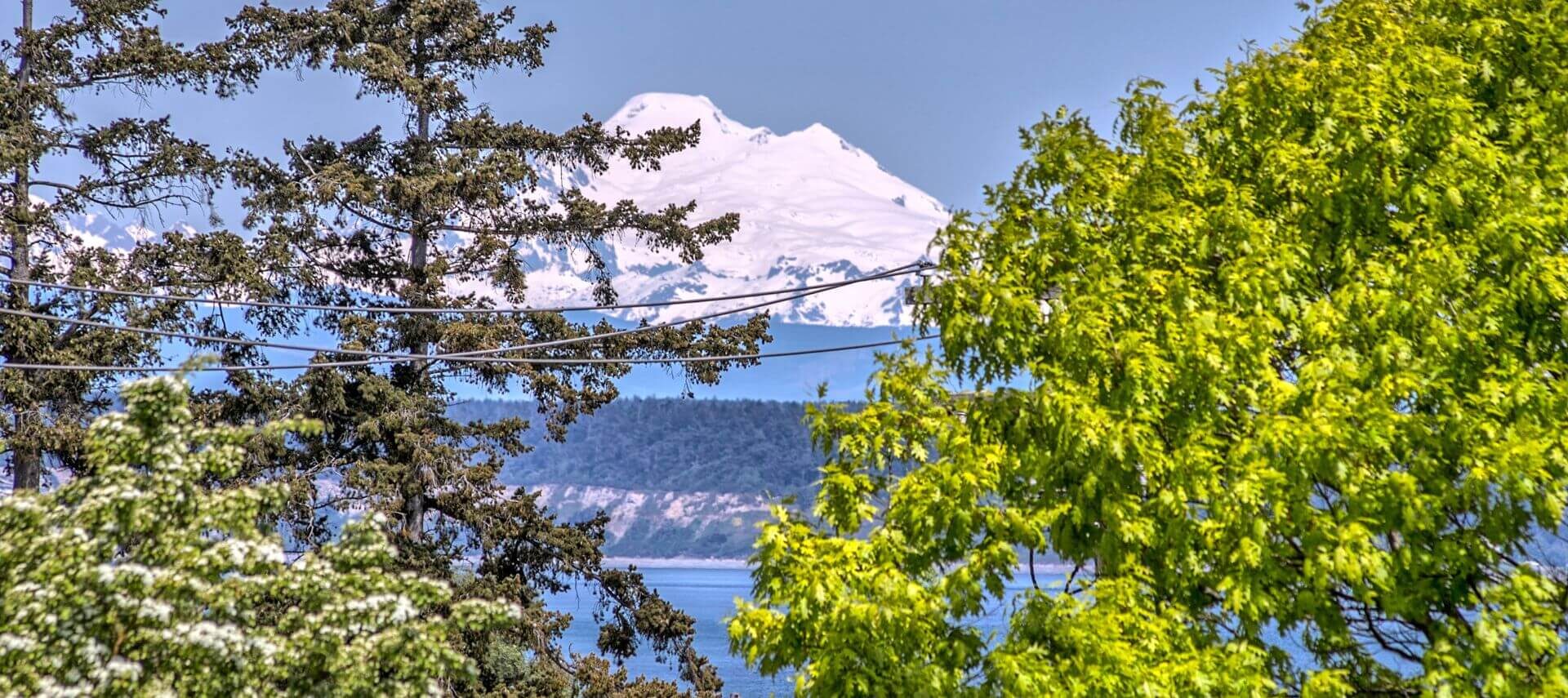 A scenic mountain vista seen through the branches of a tall tree, offering a serene and breathtaking natural landscape, with a body of water at the base of the mountains.