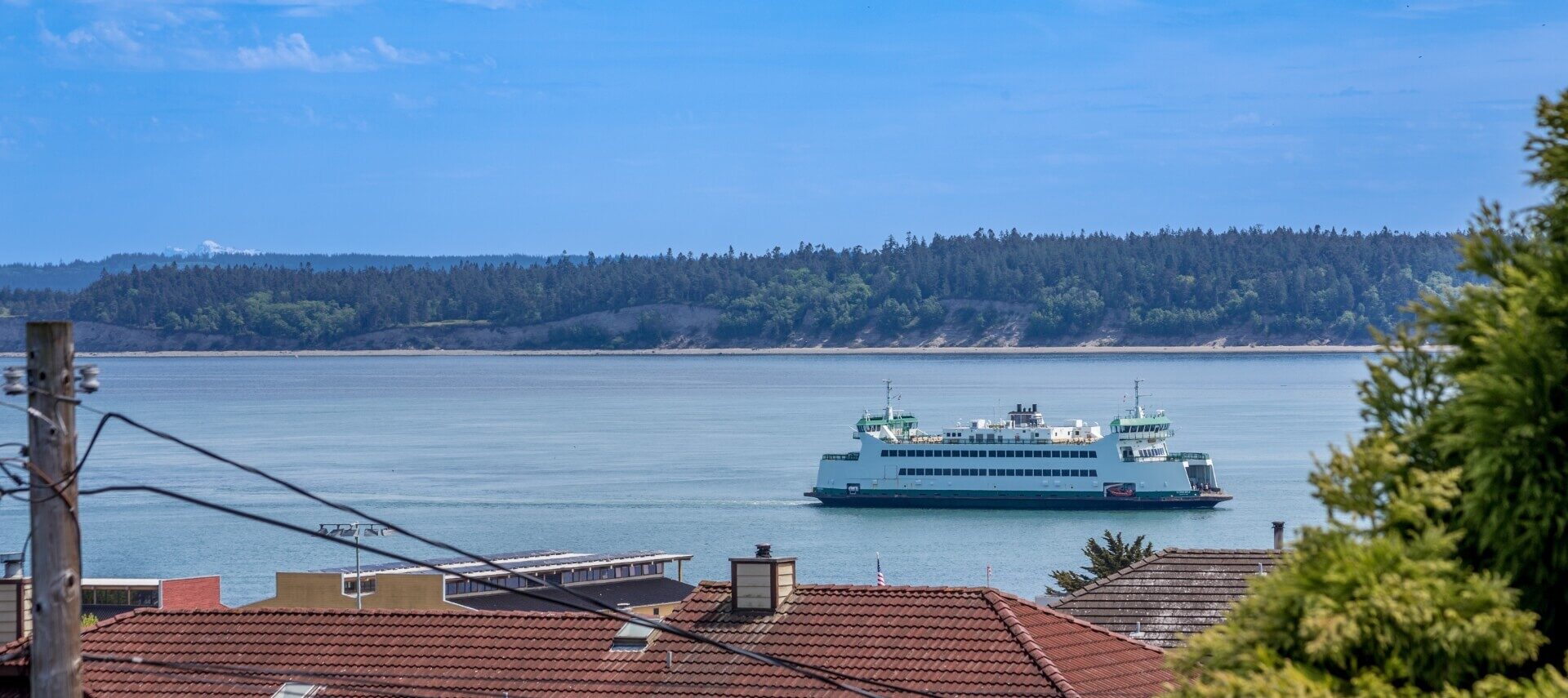 A cruise liner sailing across the blue ocean waters with trees on the other side of the water and red rooftops and trees in the foreground.