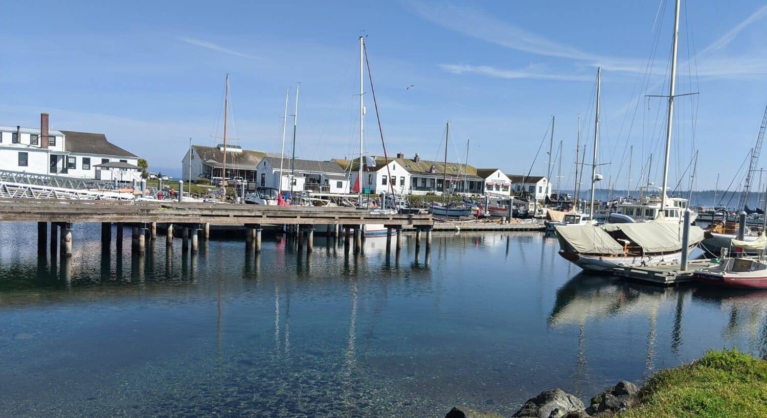 A port and dock with numerous sailboats in the water and buildings in the background.