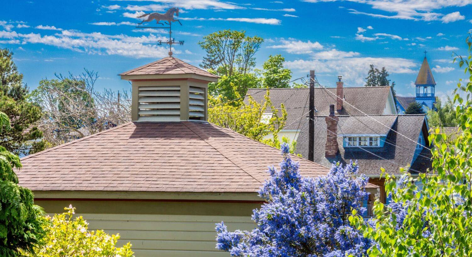 The rooftops of some houses with a horse weather vane on one house, and a steeple in the background, along with trees and a bush with purple flowers.
